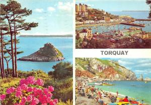 B86732 torquay devon  uk