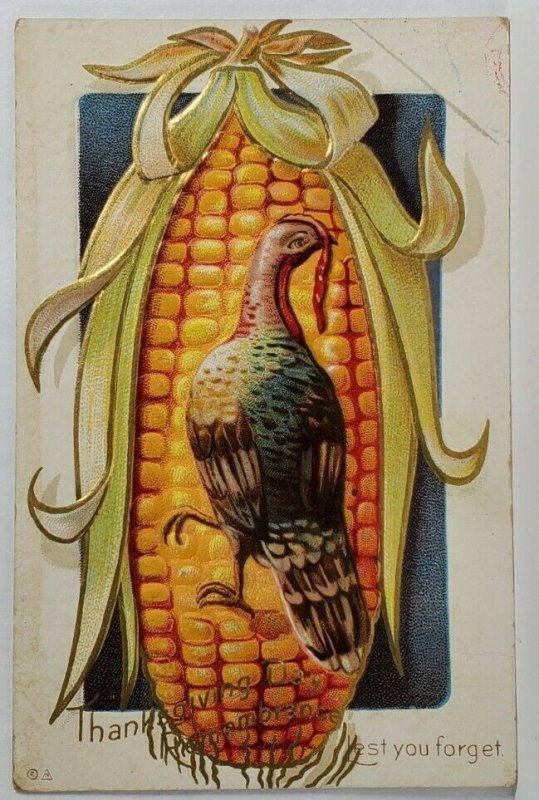 Thanksgiving Remembrance Greetings Turkey of Corncob 1911 Gilded Postcard S16