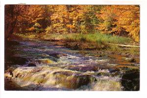 River Rapids, Dawson Motel, Deseronto, Ontario, Camera Clix