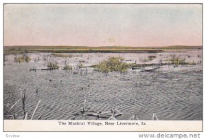 The Muskrat Village, Near LIVERMORE, Iowa, 1900-1910s