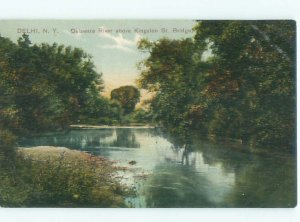 Divided-back RIVER SCENE Delhi - Near Oneonta New York NY AE6768