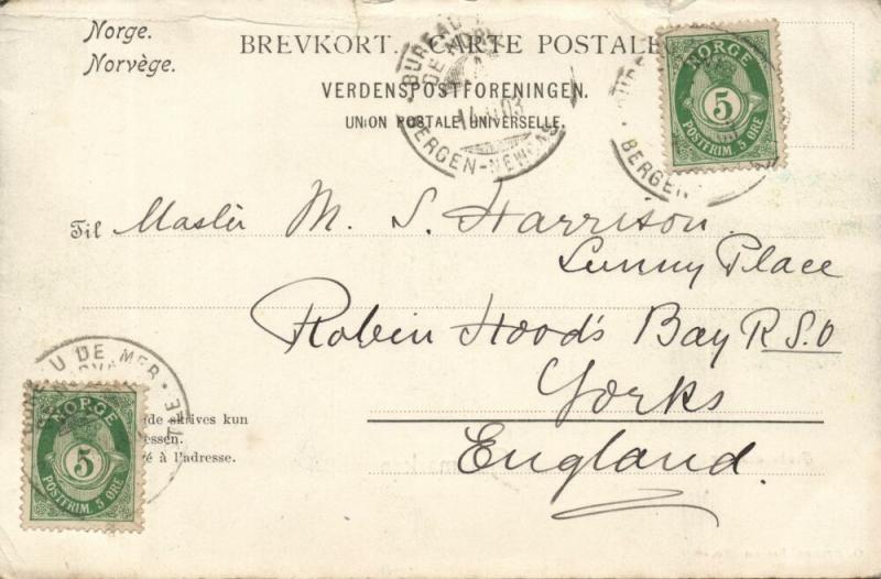 norway norge, TELEMARKEN, Haukelidsæter, Girls in Costumes (1903) Postcard