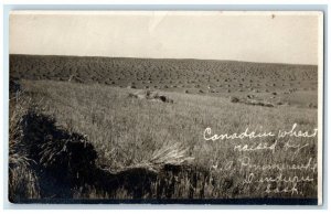 c1907 Canadian Wheat Field Farming Farm Dundurn Saskatchewan RPPC Photo Postcard