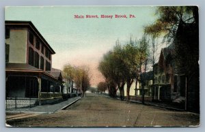 HONEY BROOK PA MAIN STREET ANTIQUE POSTCARD 