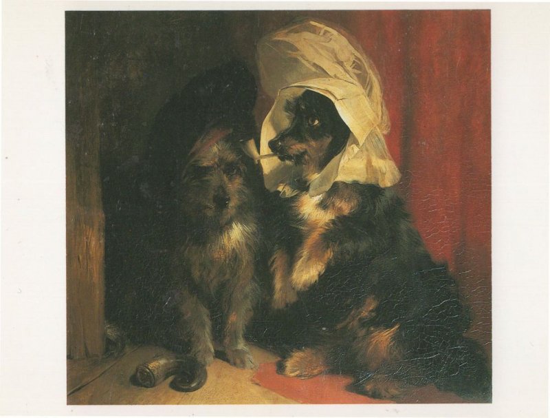 Landseer Comical Dogs Amazing Hat Old Painting Postcard