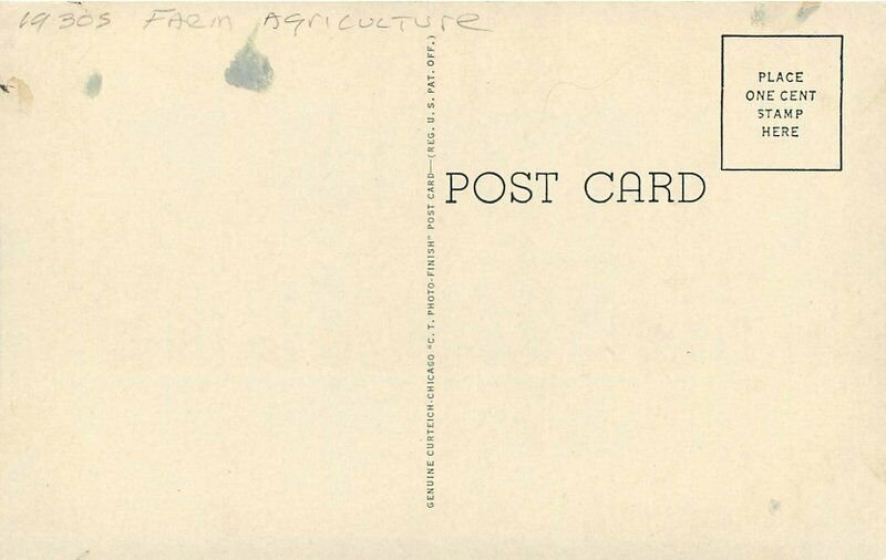 C-1940s Large Reservoir Water Rice Stuttgart Arkansas Postcard Teich 6702