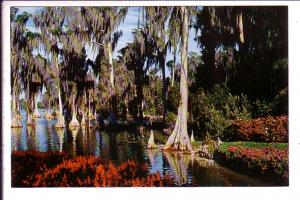 Lake Eloise, Florida Cypress Gardens, 