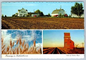 Farming In Saskatchewan Canada, Chrome Multiview Postcard, NOS