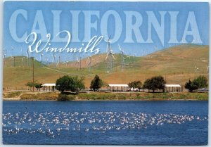 Postcard - California Windmills - California