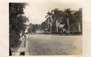 Indonesia Karbouwen voor de karren Atjeh Dutch East Indies RPPC  01.57