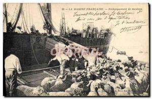 Old Postcard warship Boarding sheep