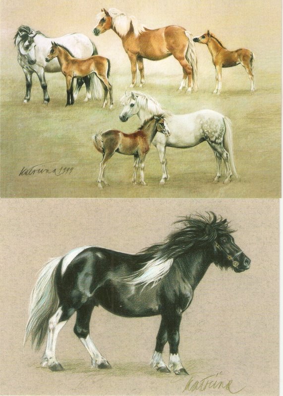 Complete set of four (4) horse PC issued by Finland Post, including presentation