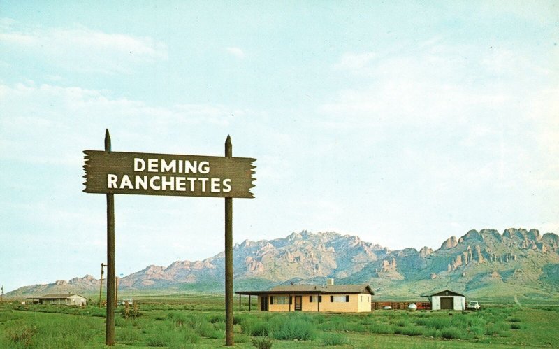 Vintage Postcard Deming Ranchettes New Home Florida Mountains At Back New Mexico