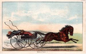 VICTORIAN TRADE CARD,  BOLTED!