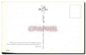 Postcard Modern Etast United Dessert