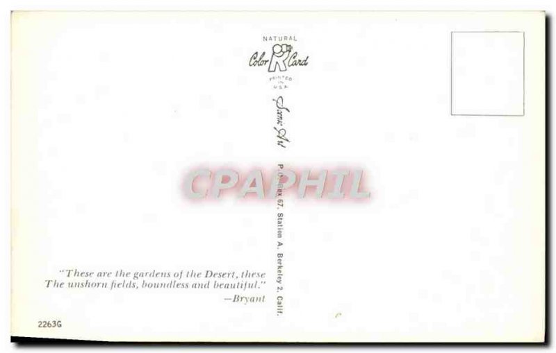 Postcard Modern Etast United Dessert