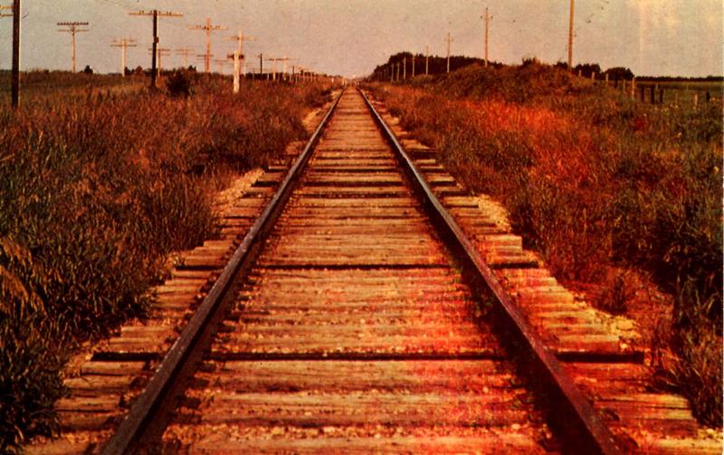 Railroad Tracks - A Hobo's View