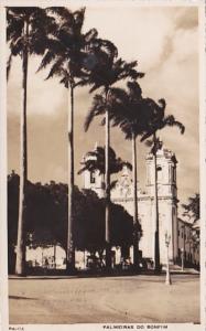 Brazil Bahia Palmeiras Do Bonfim