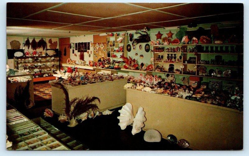 PASS A GRILLE BEACH, Florida FL ~ Roadside TRAMAS SHELL SHOP Seashells Postcard