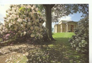 Wiltshire Postcard - Mausoleum - Bowood Rhododendron Gardens - Calne Ref 18078A