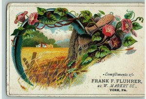 Frank F Fluhrer Dry Goods Notions Owl Farm Scene Victorian Trade Card York PA 