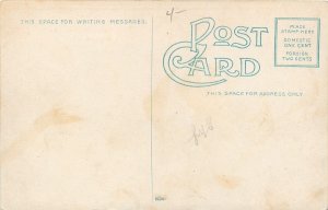 Decatur Illinois~Art Nouveau First Methodist Church & Neighbors~c1910 Postcard