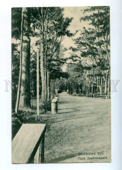 155271 BELARUS MOGILEV Garden Dembovetskago Vintage postcard