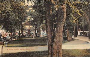 LPS95 Buckeye Lake Ohio OH Postcard Park View