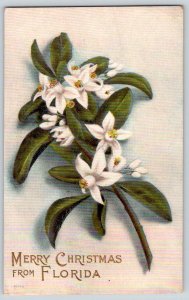 1910's MERRY CHRISTMAS FLORIDA ORANGE BLOSSOMS PALATAKA COCHRANES STORE POSTCARD