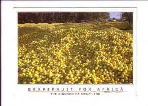 Grapefruit  for Africa, Kingdom of Swaziland