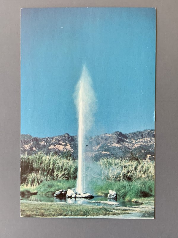 Geysers Calistoga CA Chrome Postcard A1163085758