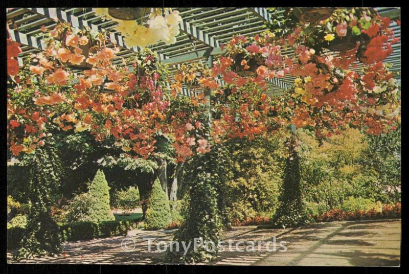 THE BUTCHART GARDENS - Hanging Baskets