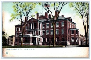 c1910 State Lunatic Asylum Hospital Harrisburg PA Tuck Silverette Postcard