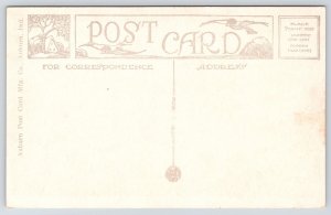 Delavan Wisconsin~The Dutch Mill~Lake Front Dancing Pavilion~1920s B&W Postcard