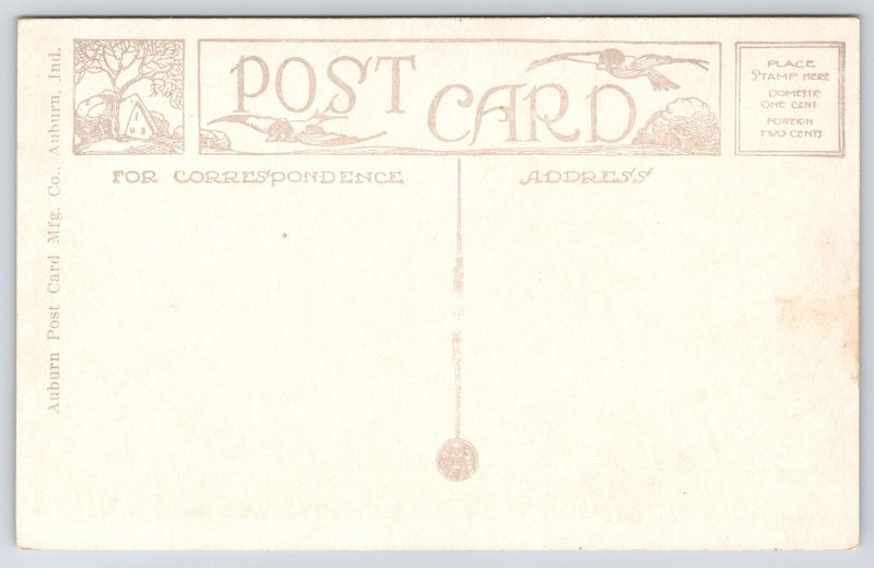 Delavan Wisconsin~The Dutch Mill~Lake Front Dancing Pavilion~1920s B&W Postcard