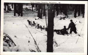 Waldoboro Maine ME Perry Greene Kennels Dogsledding Dog Sledding PC