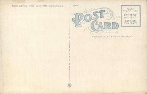 Pine Bluff Arkansas AR Citizens Bank c1920 Postcard