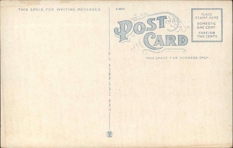 Pine Bluff Arkansas AR Citizens Bank c1920 Postcard