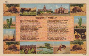Multi View Down In Texas 1947 Curteich