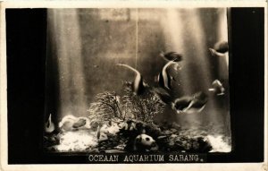 PC CPA SABANG Oceaan Aquarium INDONESIA (a16610)