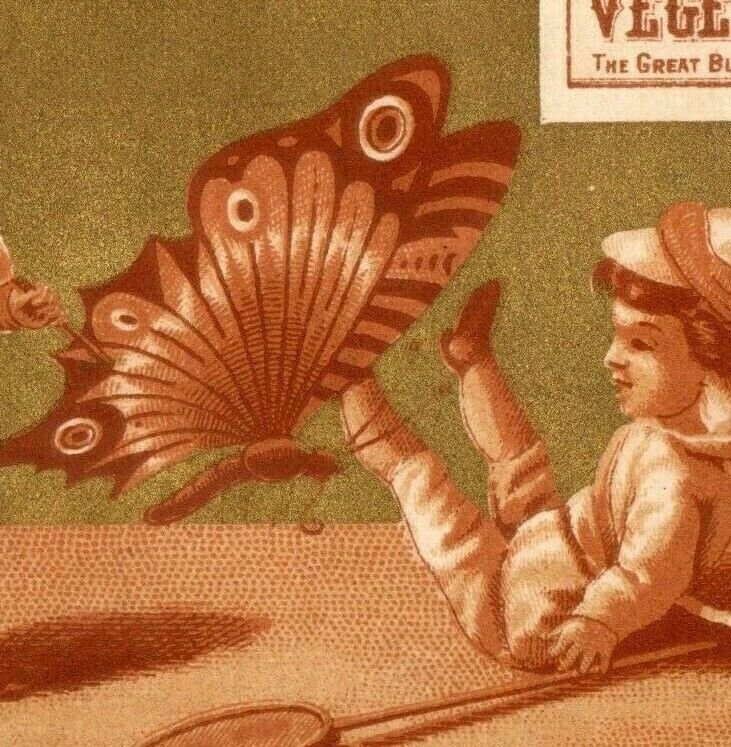 1878 Vegetine Tonic Quack Medicine Children Giant Butterfly P229