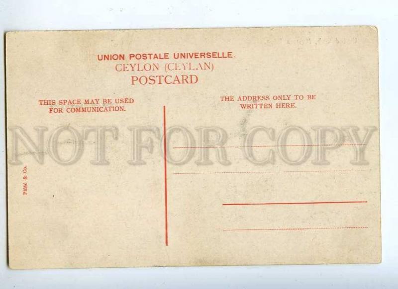 227120 CEYLON United Club Nuwara Eliya Vintage postcard