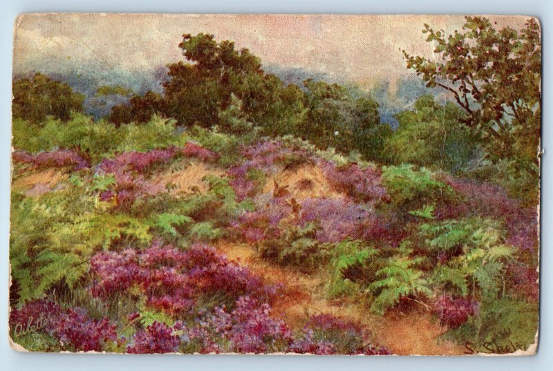 Postcard Fragrant Meadows c1910 Embossed Unposted Antique Oilette Tuck Art