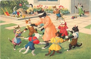 1950s Mainzer Dressed cats blind man bluff #4699 Postcard 25-2481