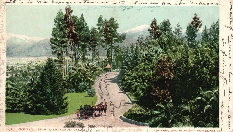 Vintage Postcard 1906 Smiley's Heights Roadside Attractions Redlands California