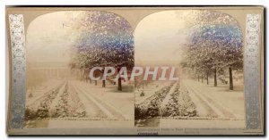 Photo Stereoscopic Flower beds in East Princes Street Gardens, Edinburgh Scot...