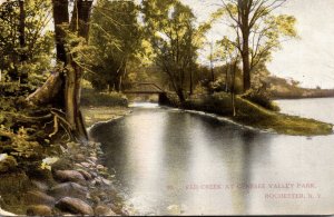 New York Rochester Red Creek At Genesee Valley Park 1909