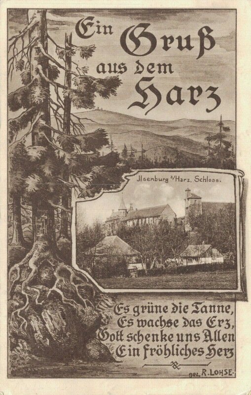 Germany Ein Gruss aus dem Harz Vintage Postcard 04.51