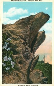 Vintage Postcard 1920s Blowing Rock Western N.C. North Carolina