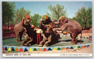 Animals~Missouri~St Louis Zoo~Asiatic Elephant Show~Trainer Floyd Smith~1950s PC